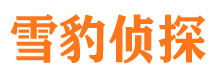 获嘉寻人公司